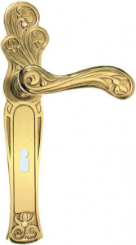 Türbschläge antik Langschild Garnitur Messing massiv poliert Jugendstil 50x105 mm