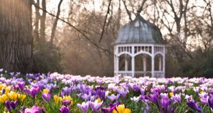 Ein Pavillon für Ihren Garten