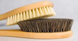 Perfekt zum Holz bürsten