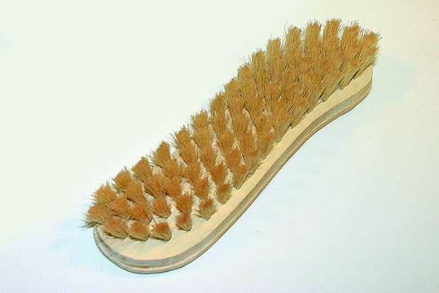 Handpolierbürste