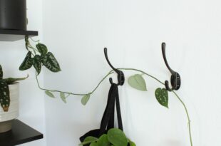 Gardorbenhaken aus Eisen pulverbeschichtet